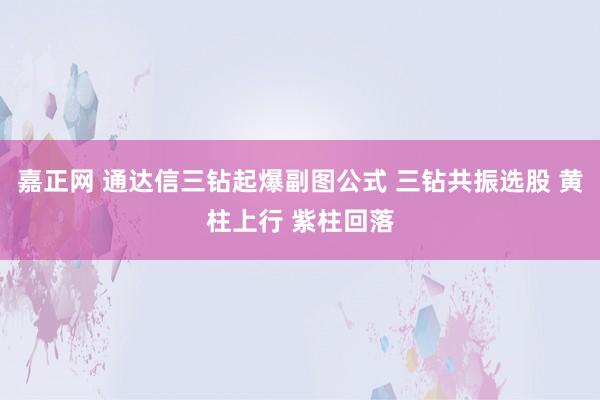 嘉正网 通达信三钻起爆副图公式 三钻共振选股 黄柱上行 紫柱回落