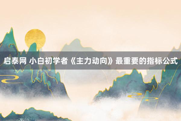启泰网 小白初学者《主力动向》最重要的指标公式