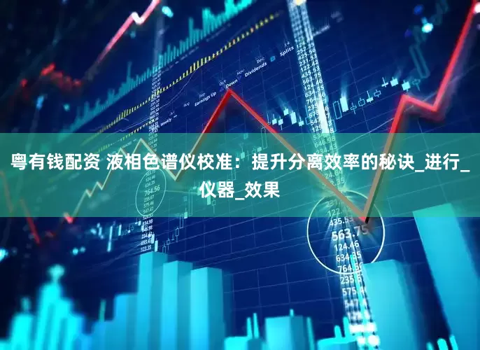 粤有钱配资 液相色谱仪校准：提升分离效率的秘诀_进行_仪器_效果