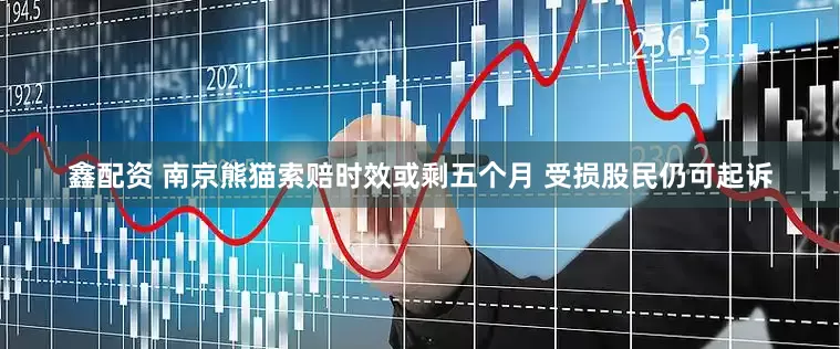 鑫配资 南京熊猫索赔时效或剩五个月 受损股民仍可起诉